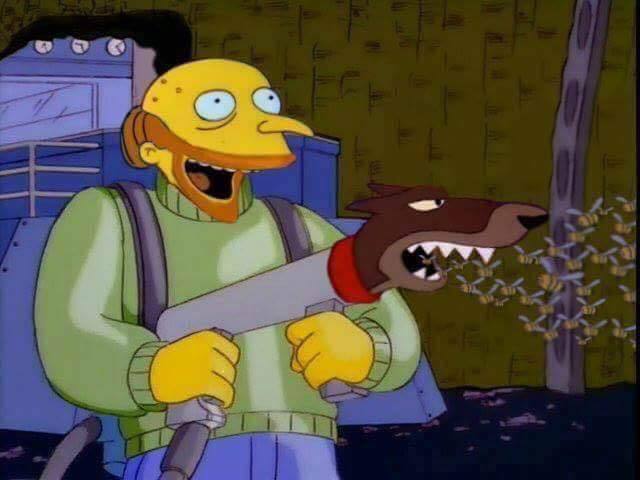 A dog gun shooting bees (it doesn